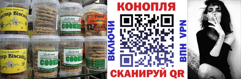 наркотики OMG зеркало Canna-Cookies конопля Отрадный