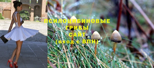 не бодяженный Сосновый Бор